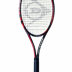 Dunlop Biomimetic 300 2012
