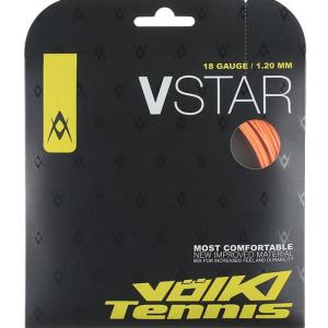 Volkl V-Star Silver 110
